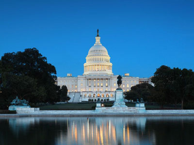 Catch the Wave: Voter Discontent During Wave Elections